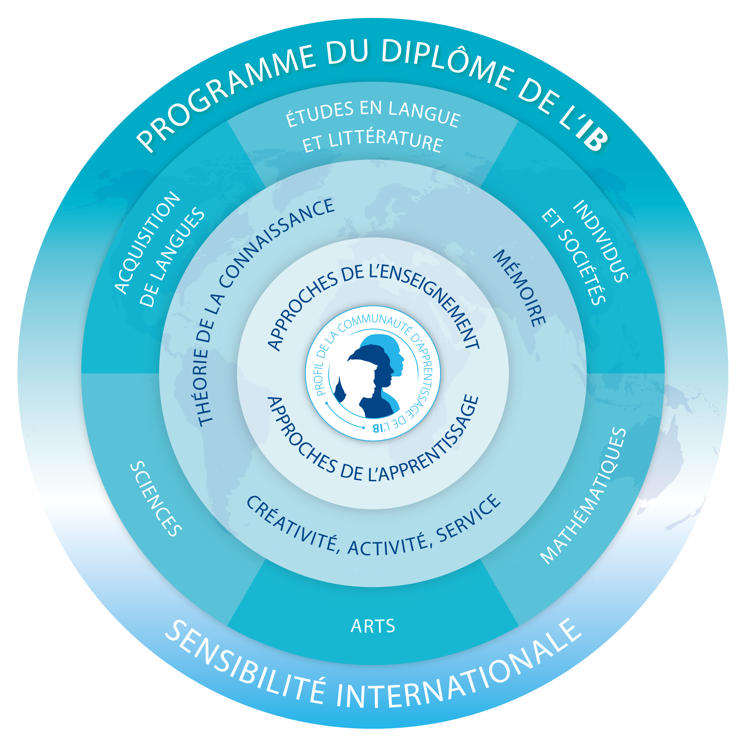 DP programme model