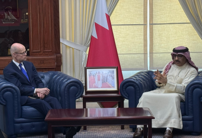 Bahrain public schools-preview.png